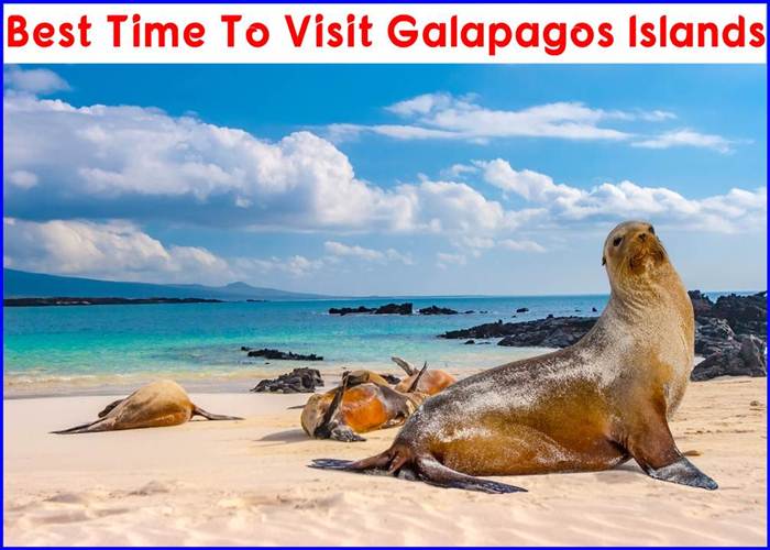 Best Time To Visit Galapagos Islands