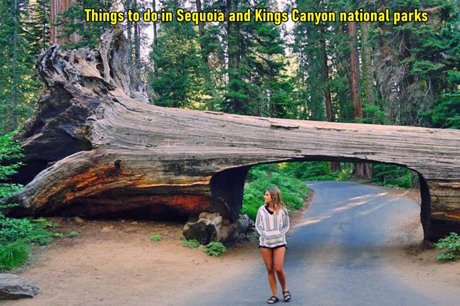 Things to do in Sequoia and Kings Canyon national parks